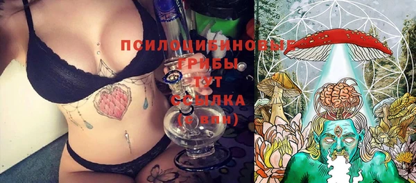 спиды Армянск