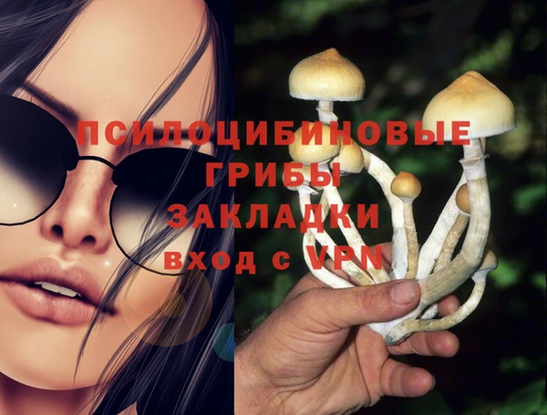 спиды Армянск