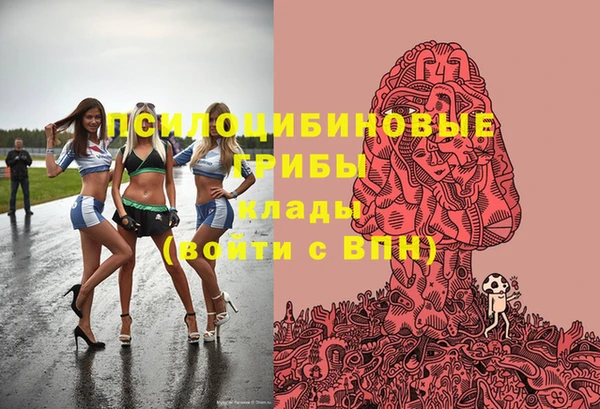 эйфоретик Арсеньев