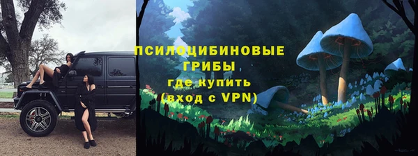 прущий лед Аркадак