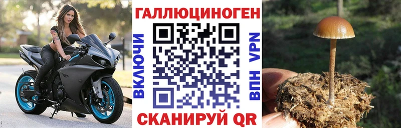 Купить где  Духовщина  Псилоцибиновые грибы Psilocybine cubensis 